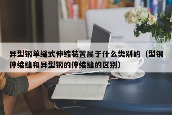 異型鋼單縫式伸縮裝置屬于什么類別的（型鋼伸縮縫和異型鋼的伸縮縫的區別）