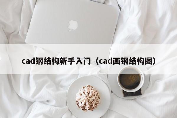 cad鋼結構新手入門（cad畫鋼結構圖）